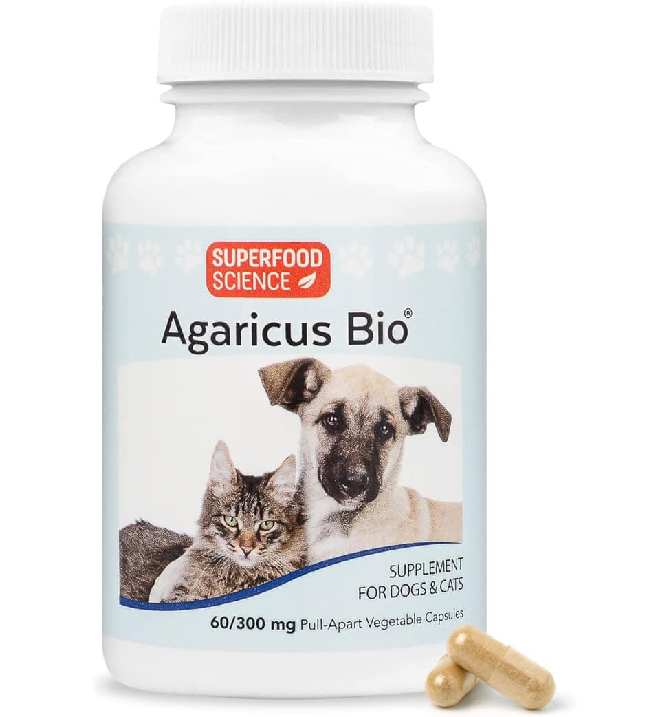 71bmDZCJ9aL._AC_SL1024_