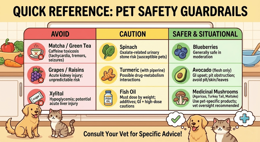 Title: Infographic: Quick Reference for Pet Safety Guardrails Alt-Text: A cartoon infographic titled "QUICK REFERENCE: PET SAFETY GUARDRAILS." The graphic features a large table divided into three color-coded columns. The red "AVOID" column lists Matcha/Green Tea (caffeine toxicosis), Grapes/Raisins (acute kidney injury), and Xylitol (hypoglycemia). The yellow "CAUTION" column lists Spinach (oxalate-related urinary stone risk), Turmeric with piperine (possible drug-metabolism interactions), and Fish Oil (must dose by weight). The green "SAFER & SITUATIONAL" column lists Blueberries (generally safe in moderation), Avocado flesh only (GI upset; pit obstruction), and Medicinal Mushrooms like Agaricus, Turkey Tail, and Maitake (use pet-specific products). Cartoon illustrations of a Golden Retriever and a tabby cat sit at the bottom next to the text "Consult Your Vet for Specific Advice!" Caption: Keep this quick reference guide handy to ensure your pet's safety. Learn which popular human superfoods to completely avoid, which require extreme caution, and which are safer for your furry friends. Always consult your veterinarian before introducing new foods or supplements into your pet's diet. Description: An educational cartoon infographic designed for pet parents, detailing safety guardrails for feeding human superfoods to dogs and cats. The visual chart is divided into three distinct risk categories: Avoid, Caution, and Safer & Situational. It clearly explains the specific health risks associated with items like green tea, grapes, xylitol, spinach, and fish oil, while offering safer alternatives. Featuring a cute cartoon Golden Retriever and tabby cat, this guide is a highly shareable resource for promoting responsible pet nutrition.