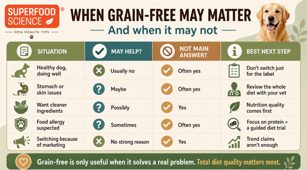 Grain-free dog food decision table showing when grain-free may matter, when it may not be the main answer, and why total diet quality matters most.