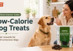 Low-calorie dog treats shown with Superfood Science Plant-Based Protein with Kelp dog treats and a happy dog in a bright kitchen.