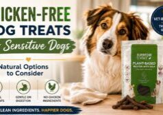 Chicken-free dog treats for sensitive dogs shown with Superfood Science Plant-Based Protein with Kelp treats beside a happy dog in a bright kitchen.